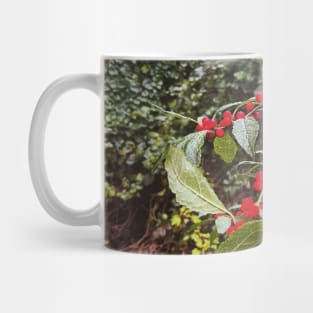 Late September Morning New England Nature Walk - winterberries Mug